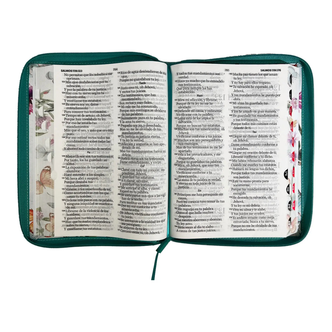 Biblia Reina Valera 1960 tamaño Gigante (170x235 mm) Letra