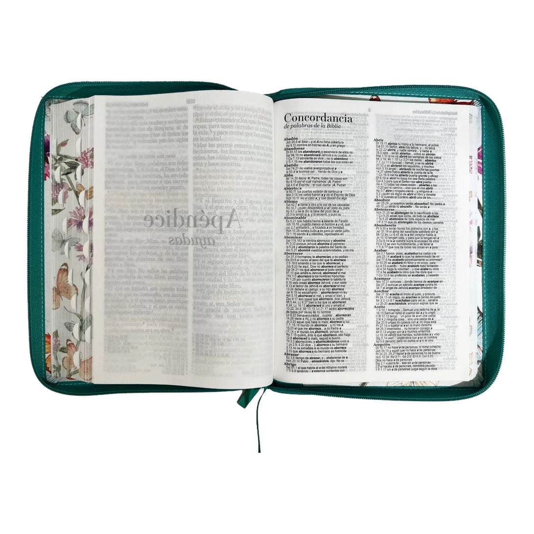 Biblia Reina Valera 1960 tamaño Gigante (170x235 mm) Letra