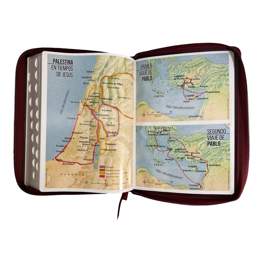 Biblia Reina Valera 1960 tamaño Gigante (170x235 mm) Letra