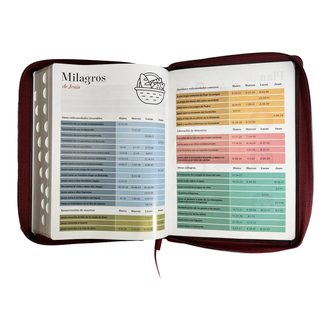Biblia Reina Valera 1960 tamaño Gigante (170x235 mm) Letra