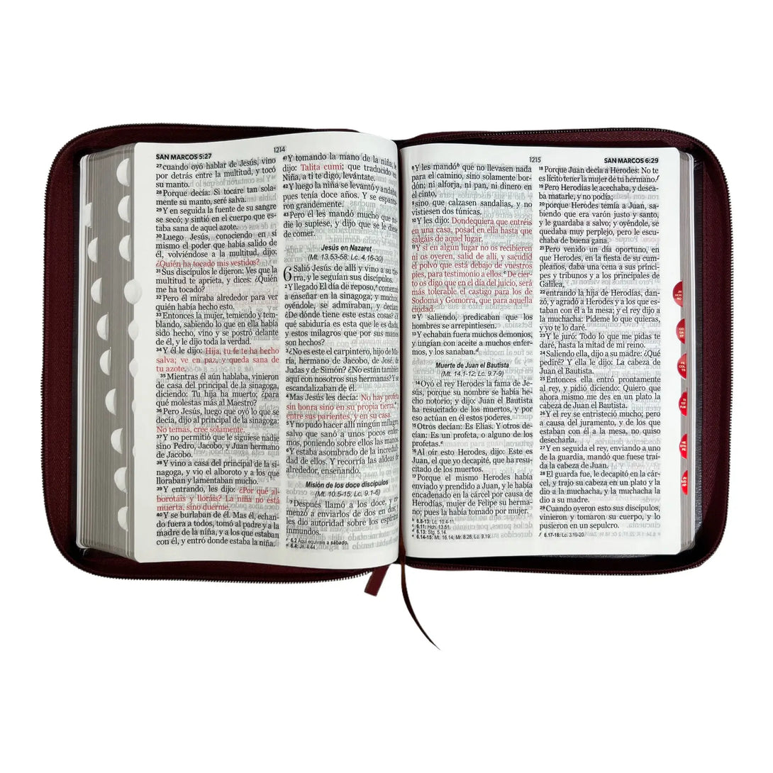 Biblia Reina Valera 1960 tamaño Gigante (170x235 mm) Letra