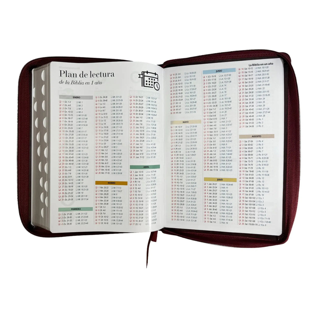 Biblia Reina Valera 1960 tamaño Gigante (170x235 mm) Letra