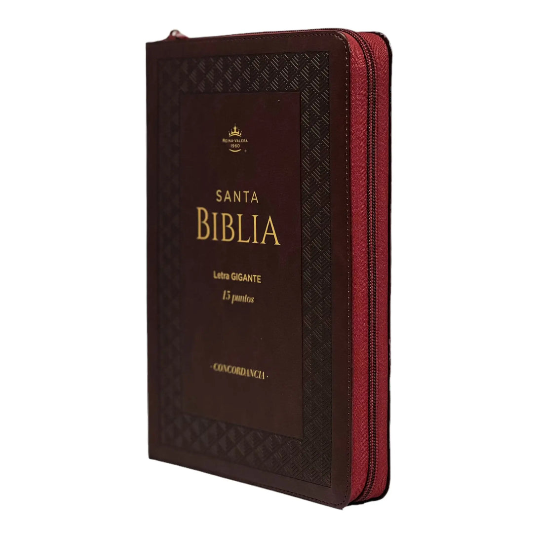Biblia Reina Valera 1960 tamaño Gigante (170x235 mm) Letra