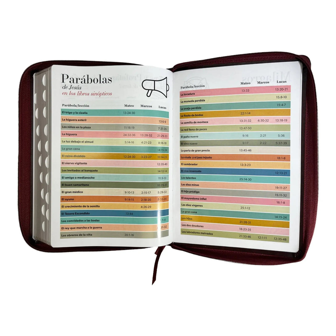 Biblia Reina Valera 1960 tamaño Gigante (170x235 mm) Letra