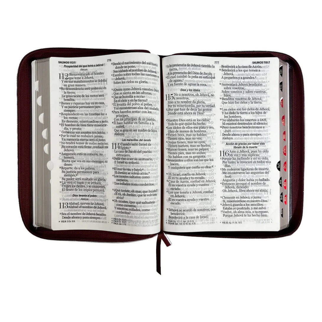 Biblia Reina Valera 1960 tamaño Gigante (170x235 mm) Letra