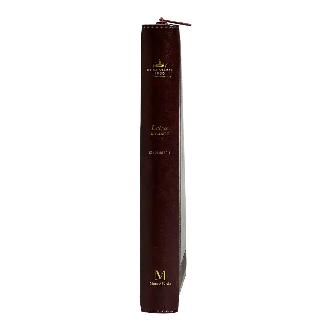 Biblia Reina Valera 1960 tamaño Gigante (170x235 mm) Letra