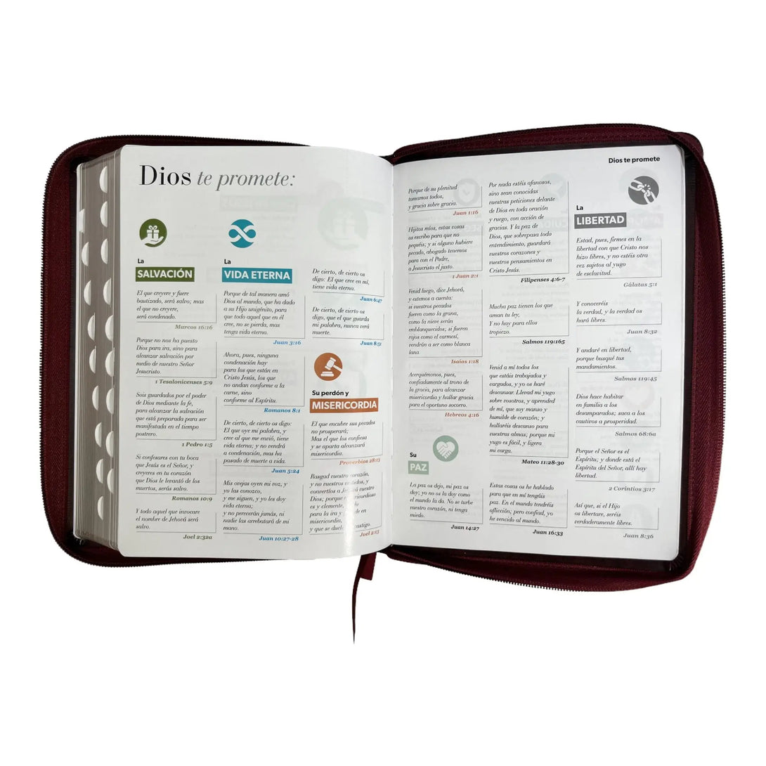 Biblia Reina Valera 1960 tamaño Gigante (170x235 mm) Letra