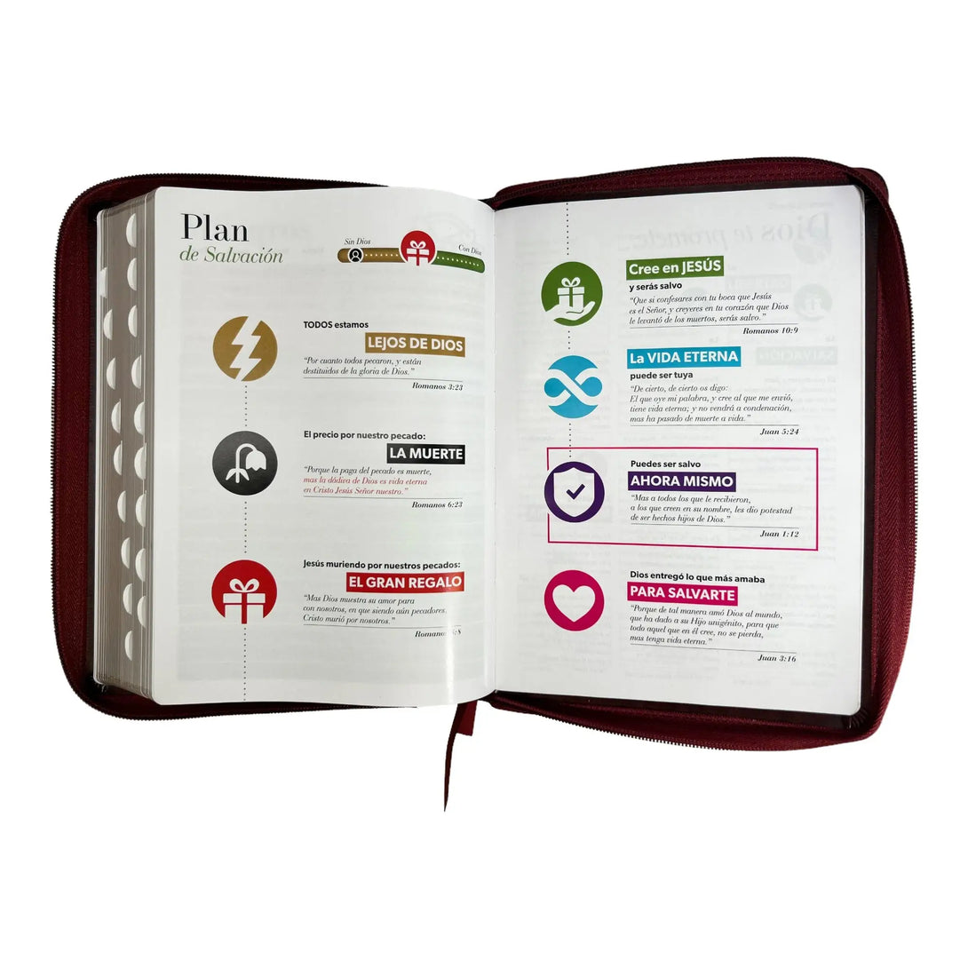 Biblia Reina Valera 1960 tamaño Gigante (170x235 mm) Letra
