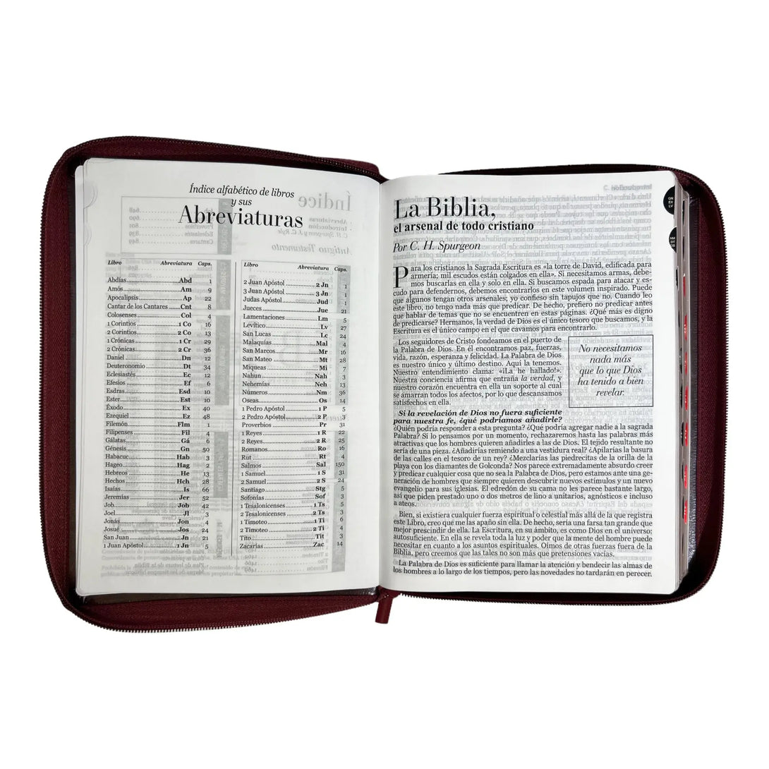 Biblia Reina Valera 1960 tamaño Gigante (170x235 mm) Letra