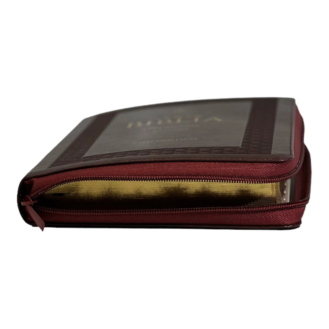 Biblia Reina Valera 1960 tamaño Gigante (170x235 mm) Letra