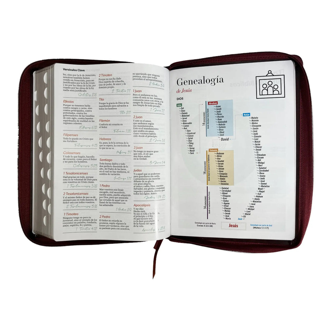 Biblia Reina Valera 1960 tamaño Gigante (170x235 mm) Letra