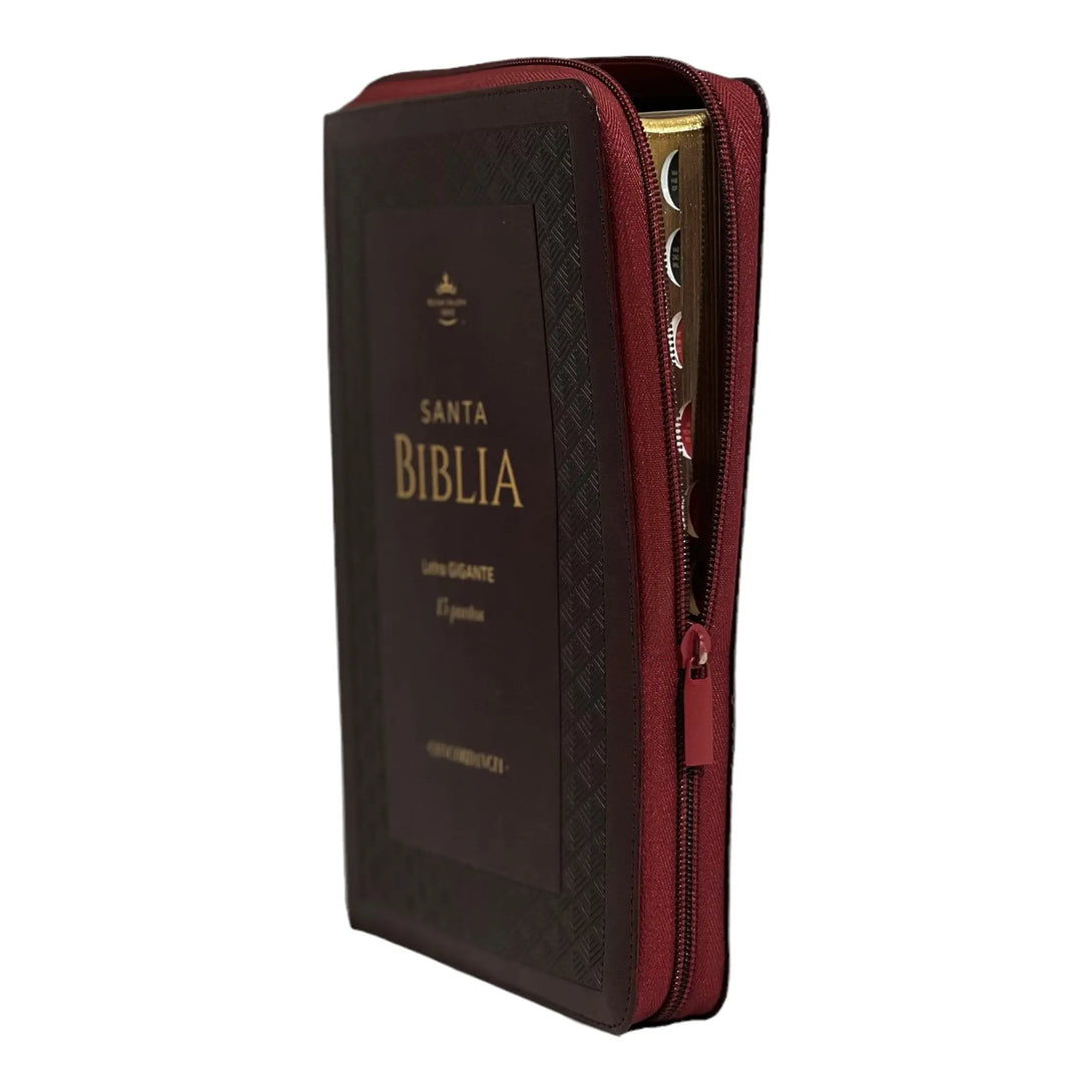 Biblia Reina Valera 1960 tamaño Gigante (170x235 mm) Letra