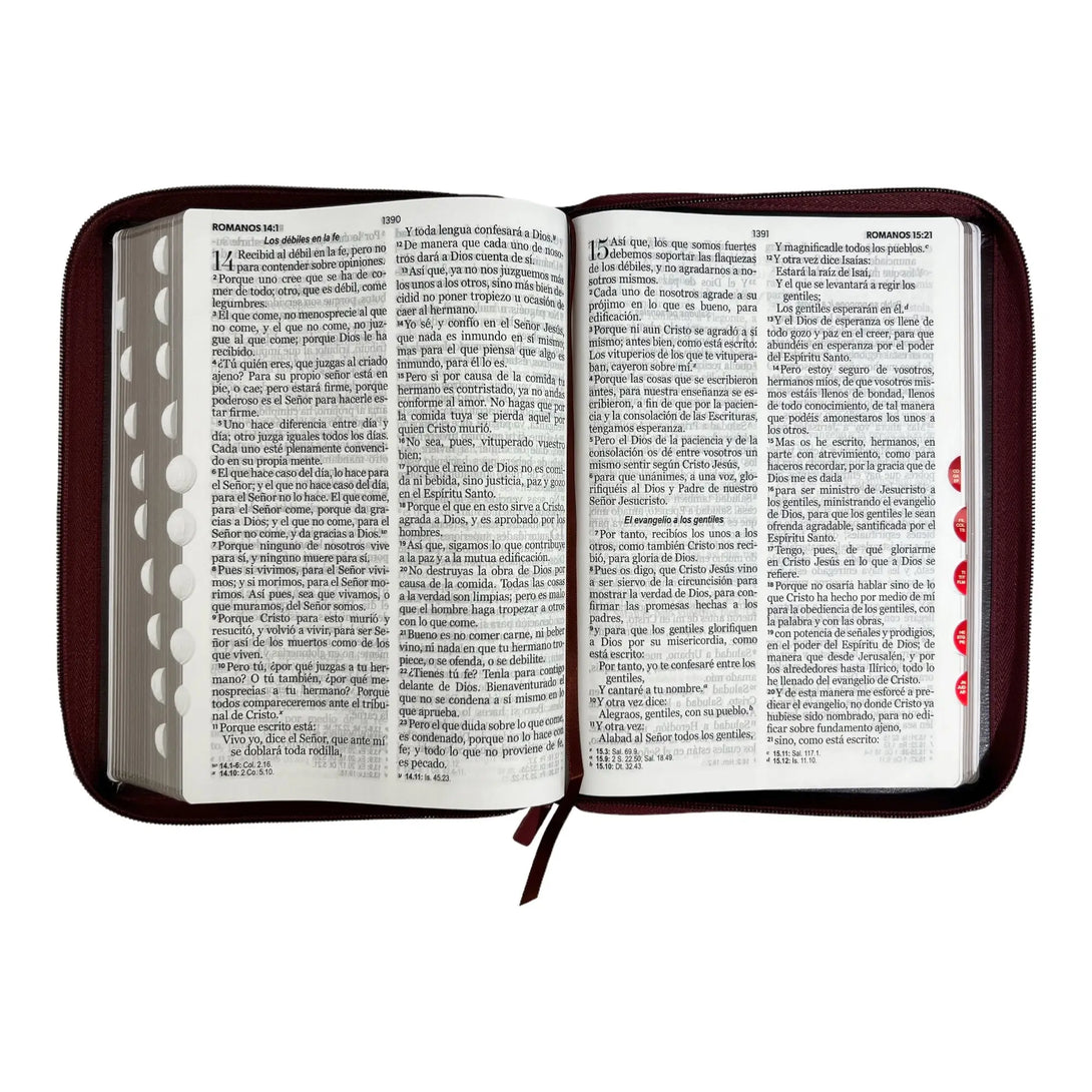 Biblia Reina Valera 1960 tamaño Gigante (170x235 mm) Letra
