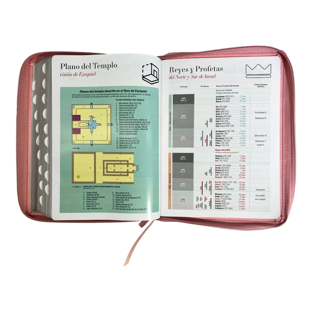 Biblia Reina Valera 1960 tamaño Gigante (170x235 mm) Letra