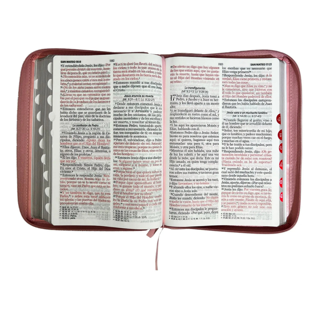 Biblia Reina Valera 1960 tamaño Gigante (170x235 mm) Letra