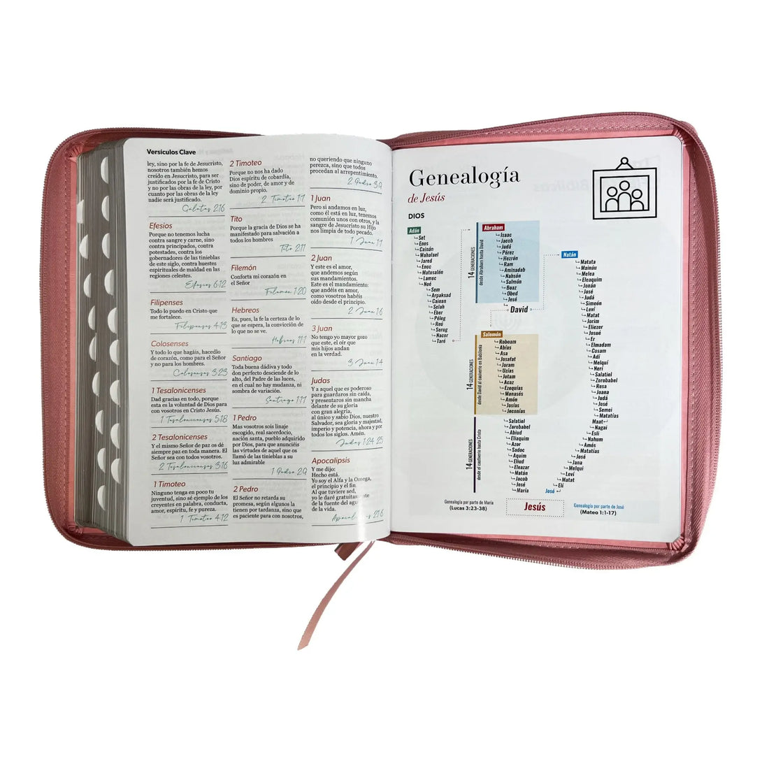 Biblia Reina Valera 1960 tamaño Gigante (170x235 mm) Letra