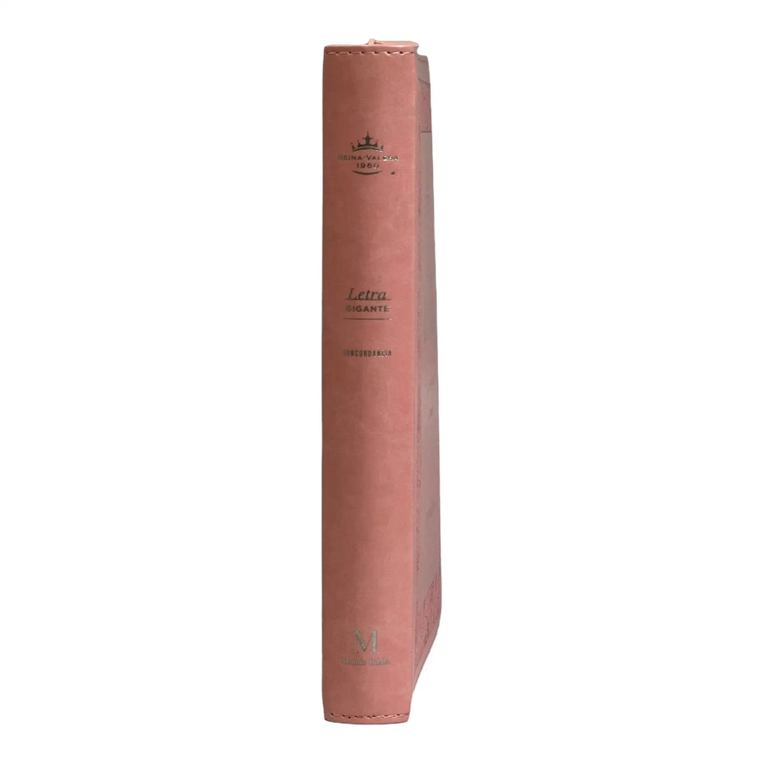 Biblia Reina Valera 1960 tamaño Gigante (170x235 mm) Letra