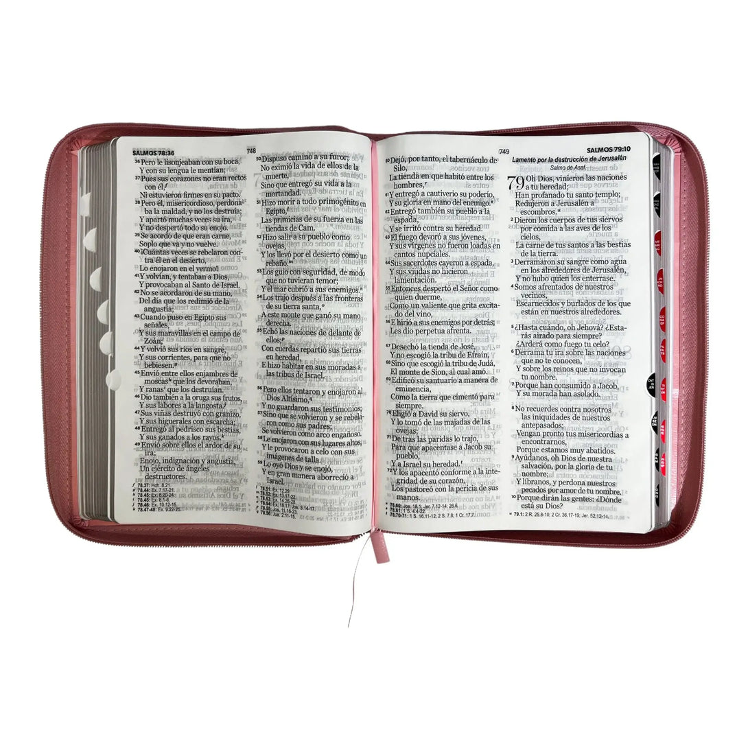 Biblia Reina Valera 1960 tamaño Gigante (170x235 mm) Letra