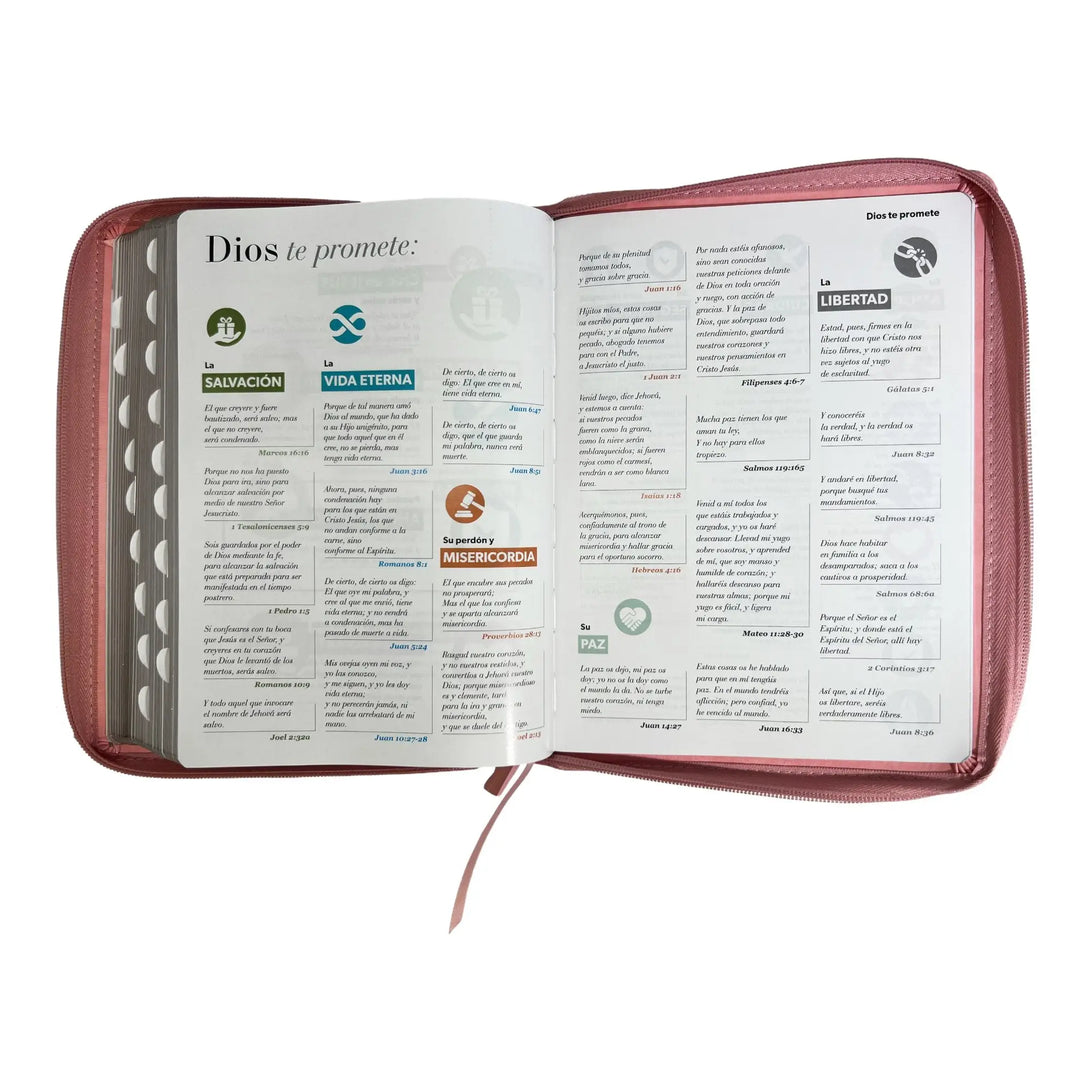 Biblia Reina Valera 1960 tamaño Gigante (170x235 mm) Letra