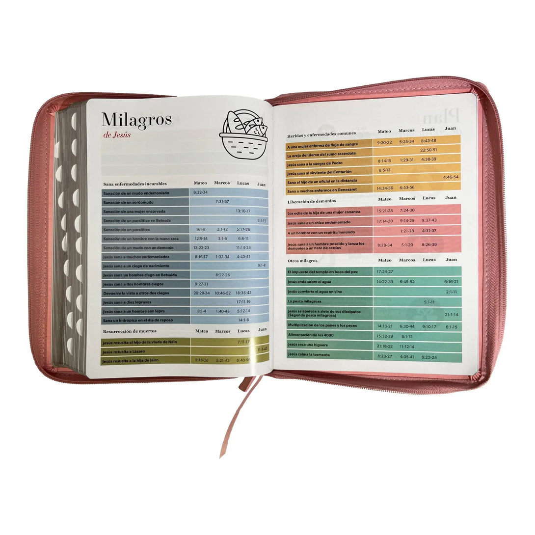 Biblia Reina Valera 1960 tamaño Gigante (170x235 mm) Letra
