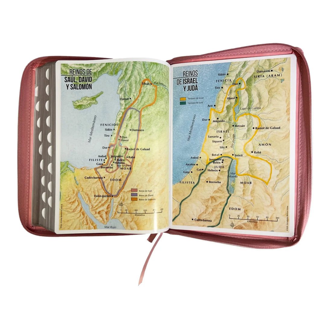 Biblia Reina Valera 1960 tamaño Gigante (170x235 mm) Letra