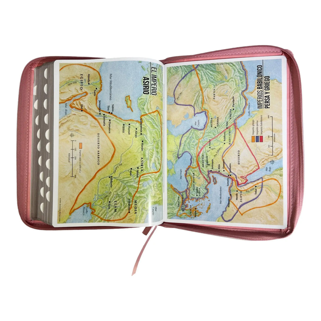 Biblia Reina Valera 1960 tamaño Gigante (170x235 mm) Letra