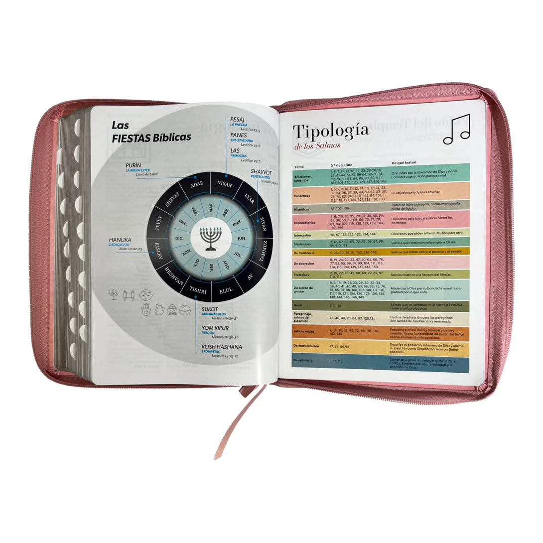 Biblia Reina Valera 1960 tamaño Gigante (170x235 mm) Letra