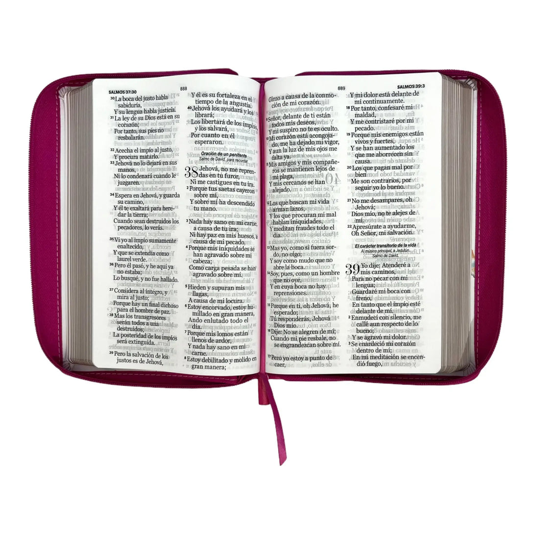 Biblia Reina Valera 1960. Tamaño manual Letra Gigante 14