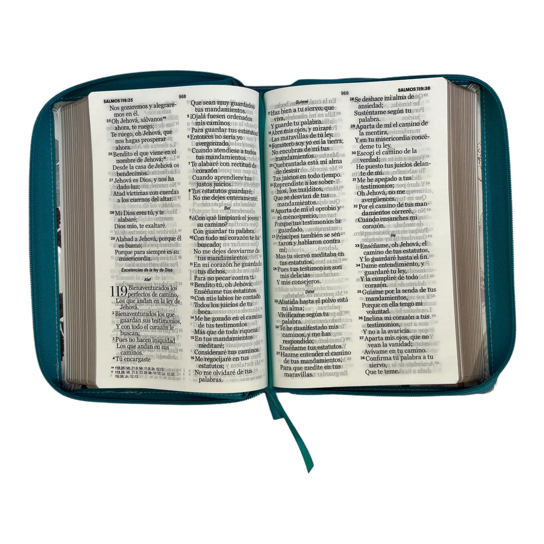 Biblia Reina Valera 1960. Tamaño manual Letra Gigante 14