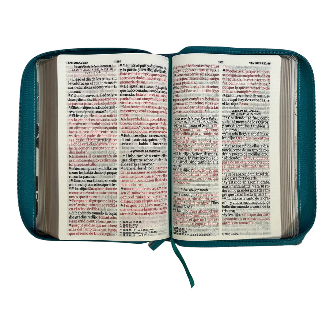 Biblia Reina Valera 1960. Tamaño manual Letra Gigante 14