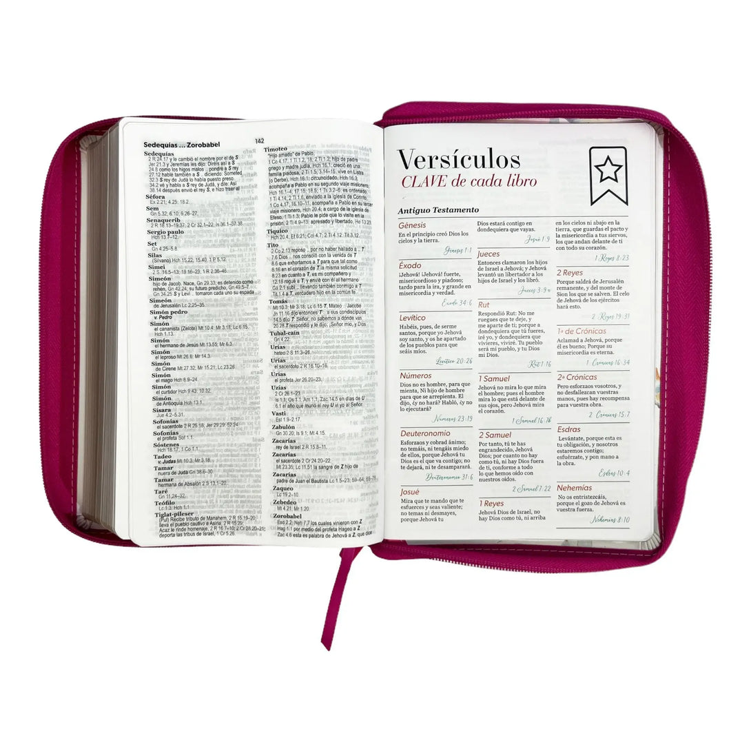 Biblia Reina Valera 1960. Tamaño manual Letra Gigante 14