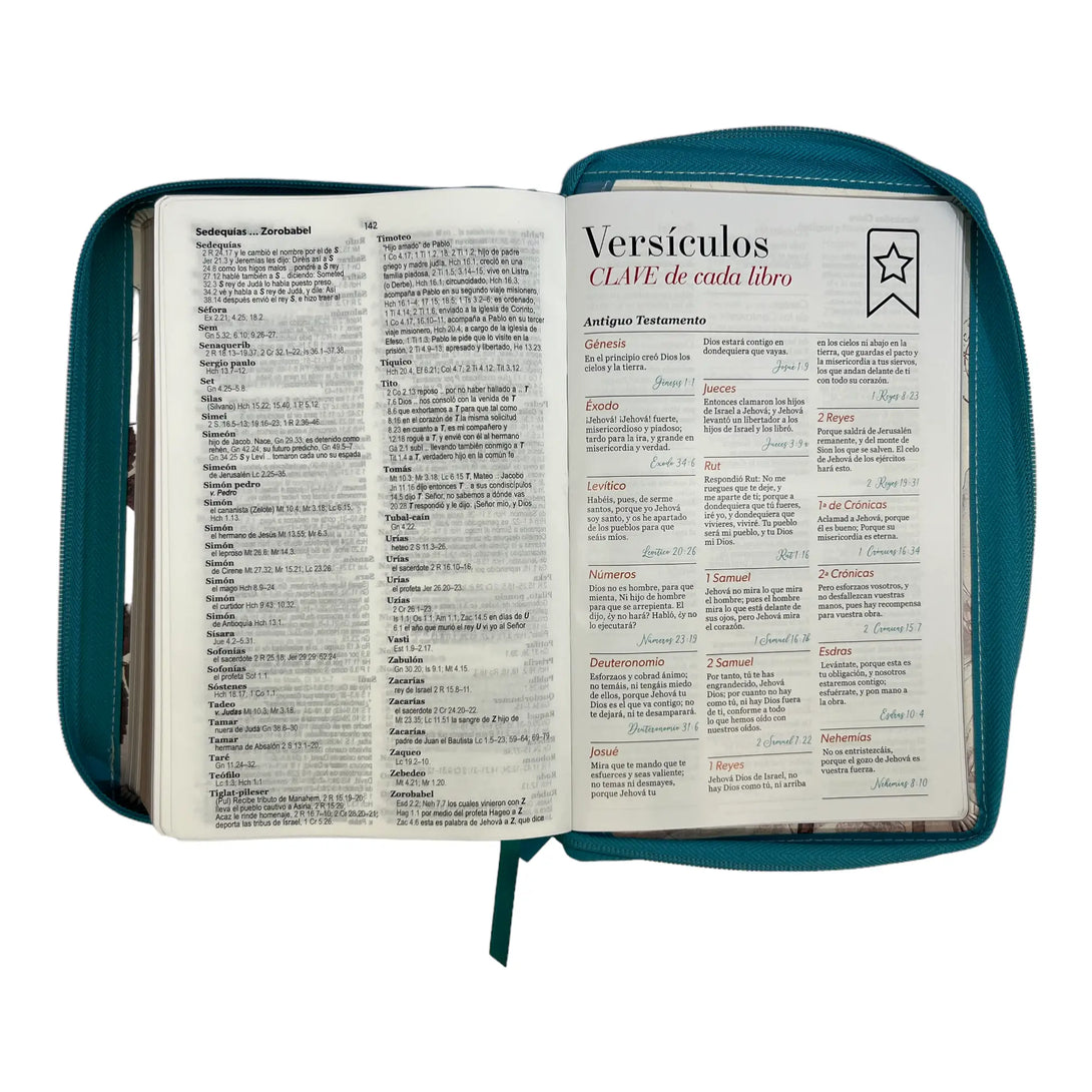 Biblia Reina Valera 1960. Tamaño manual Letra Gigante 14