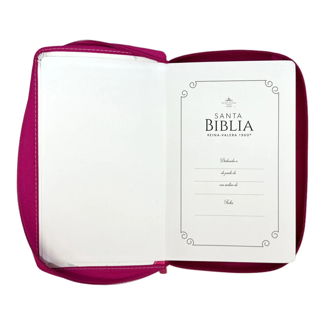 Biblia Reina Valera 1960. Tamaño manual Letra Gigante 14