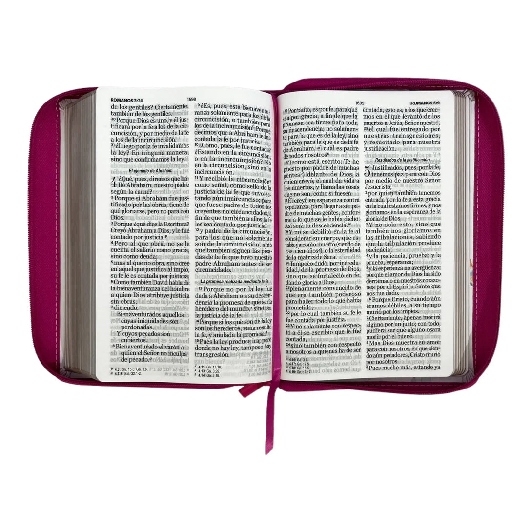 Biblia Reina Valera 1960. Tamaño manual Letra Gigante 14