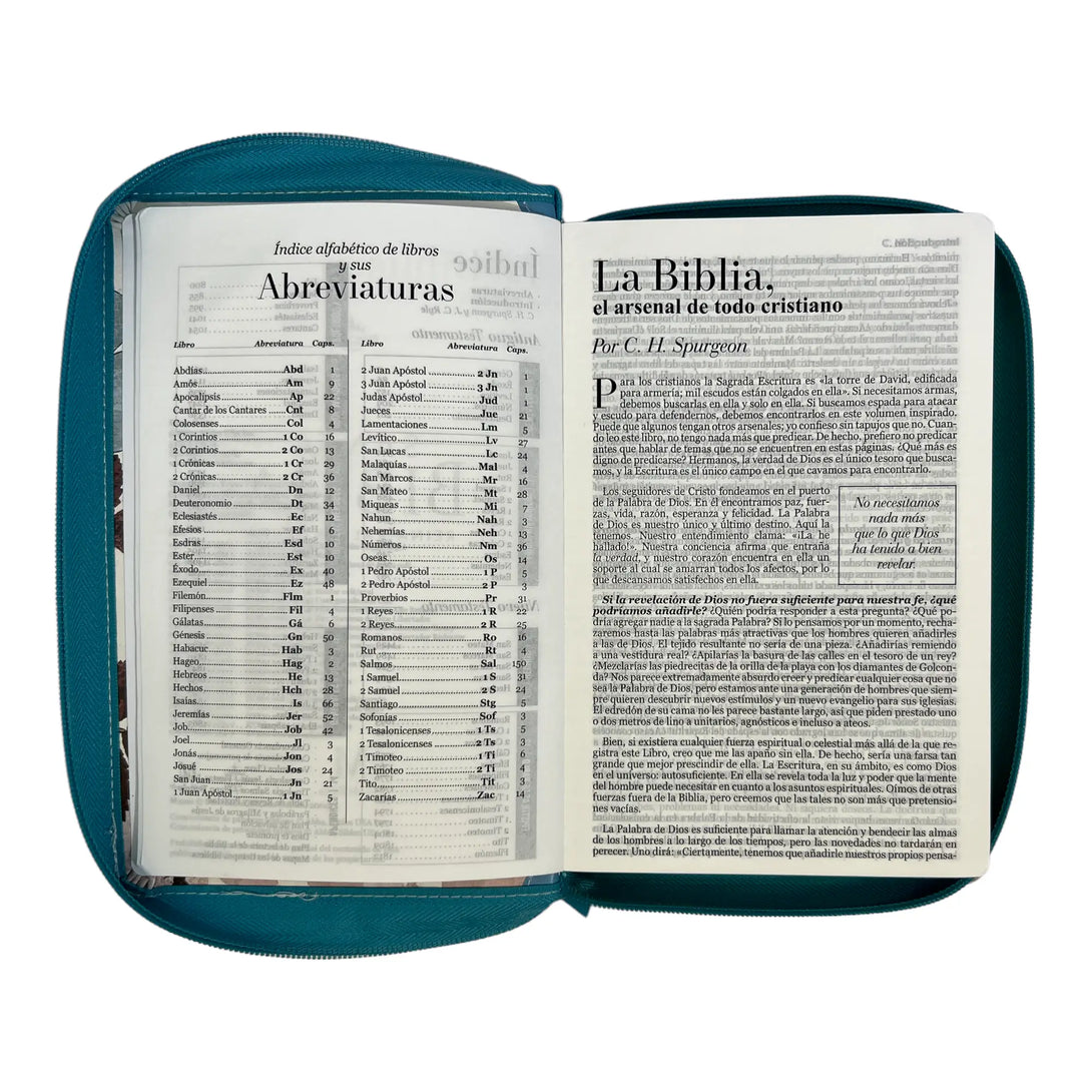 Biblia Reina Valera 1960. Tamaño manual Letra Gigante 14