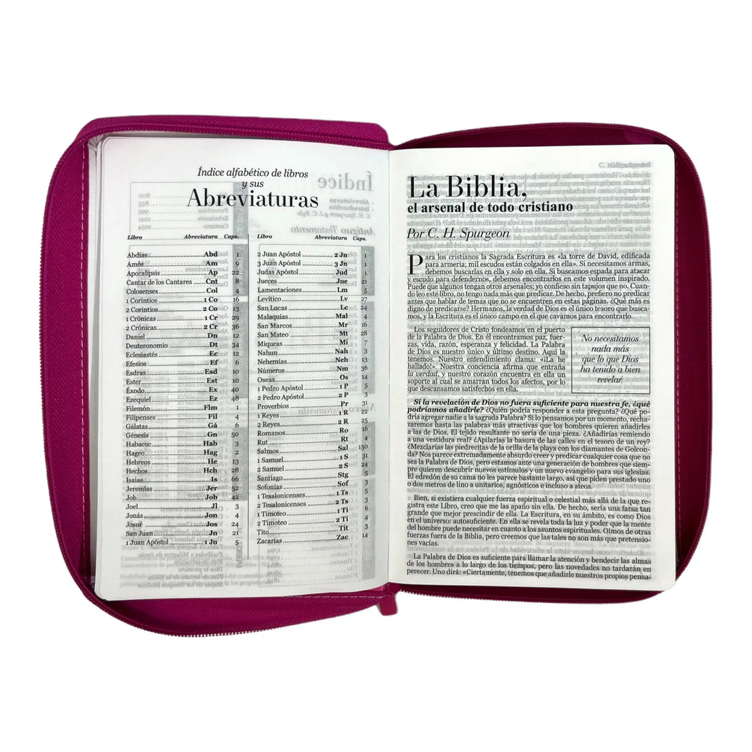 Biblia Reina Valera 1960. Tamaño manual Letra Gigante 14