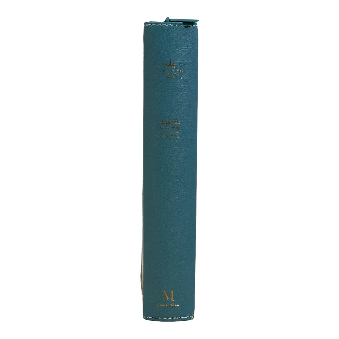 Biblia Reina Valera 1960. Tamaño manual Letra Gigante 14