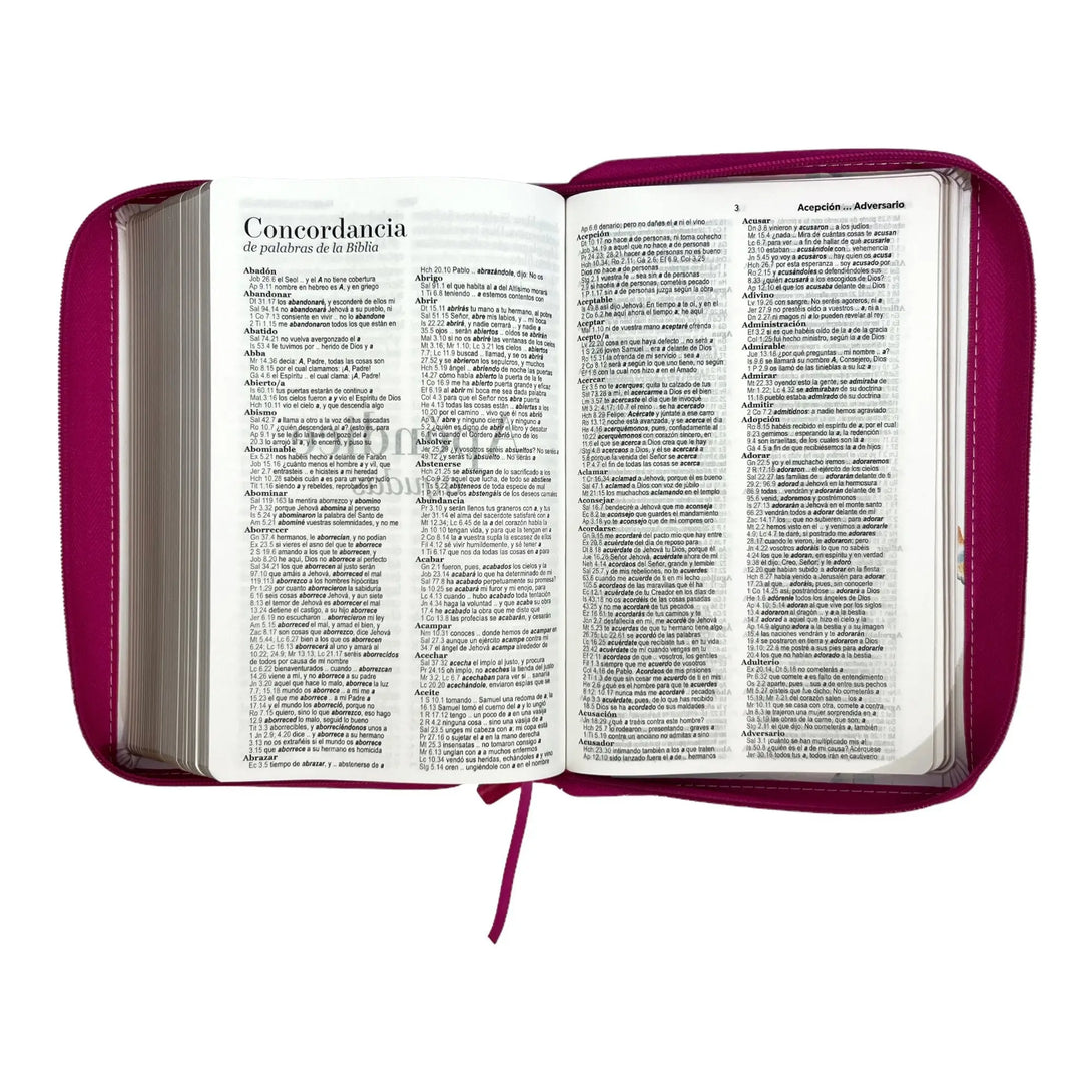 Biblia Reina Valera 1960. Tamaño manual Letra Gigante 14