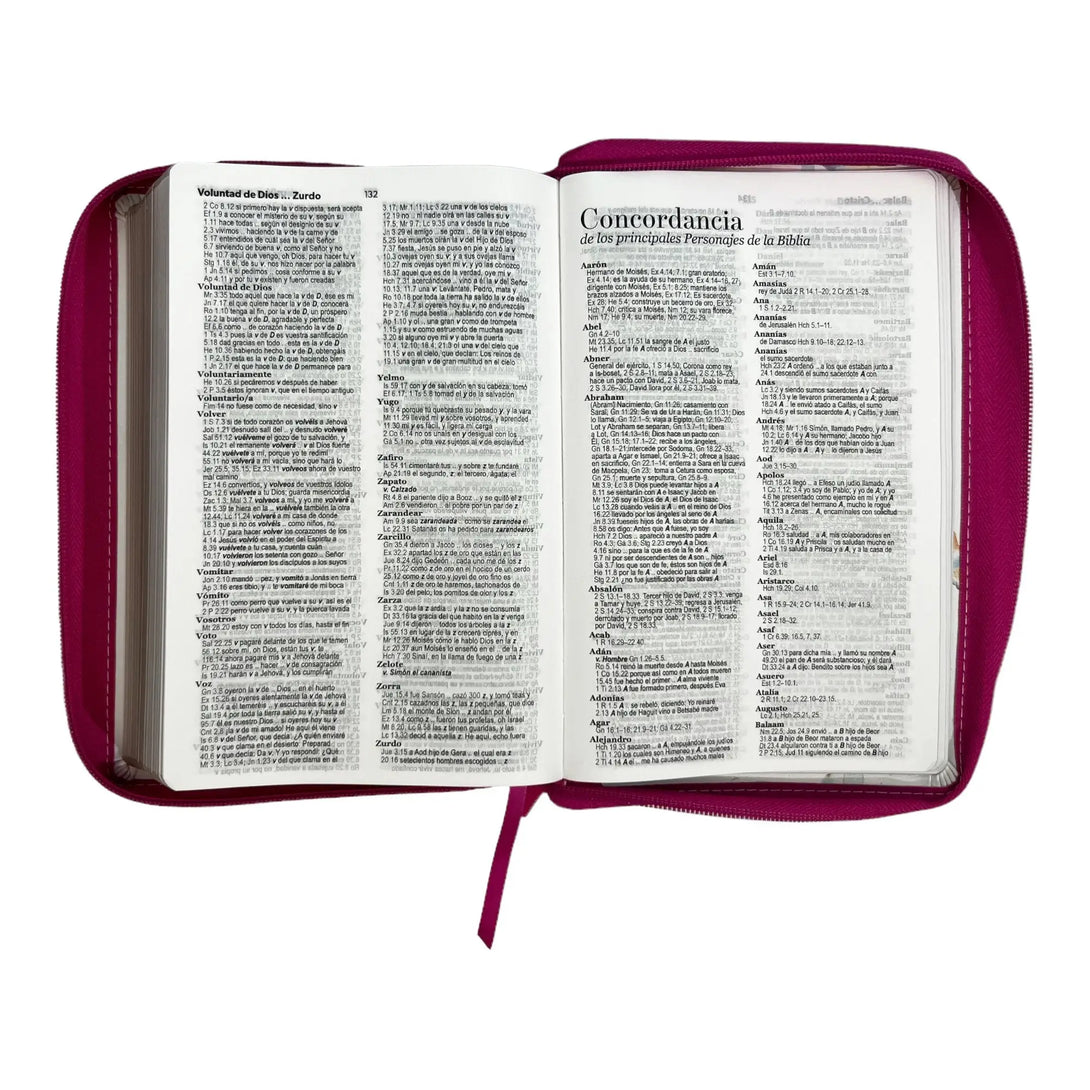 Biblia Reina Valera 1960. Tamaño manual Letra Gigante 14