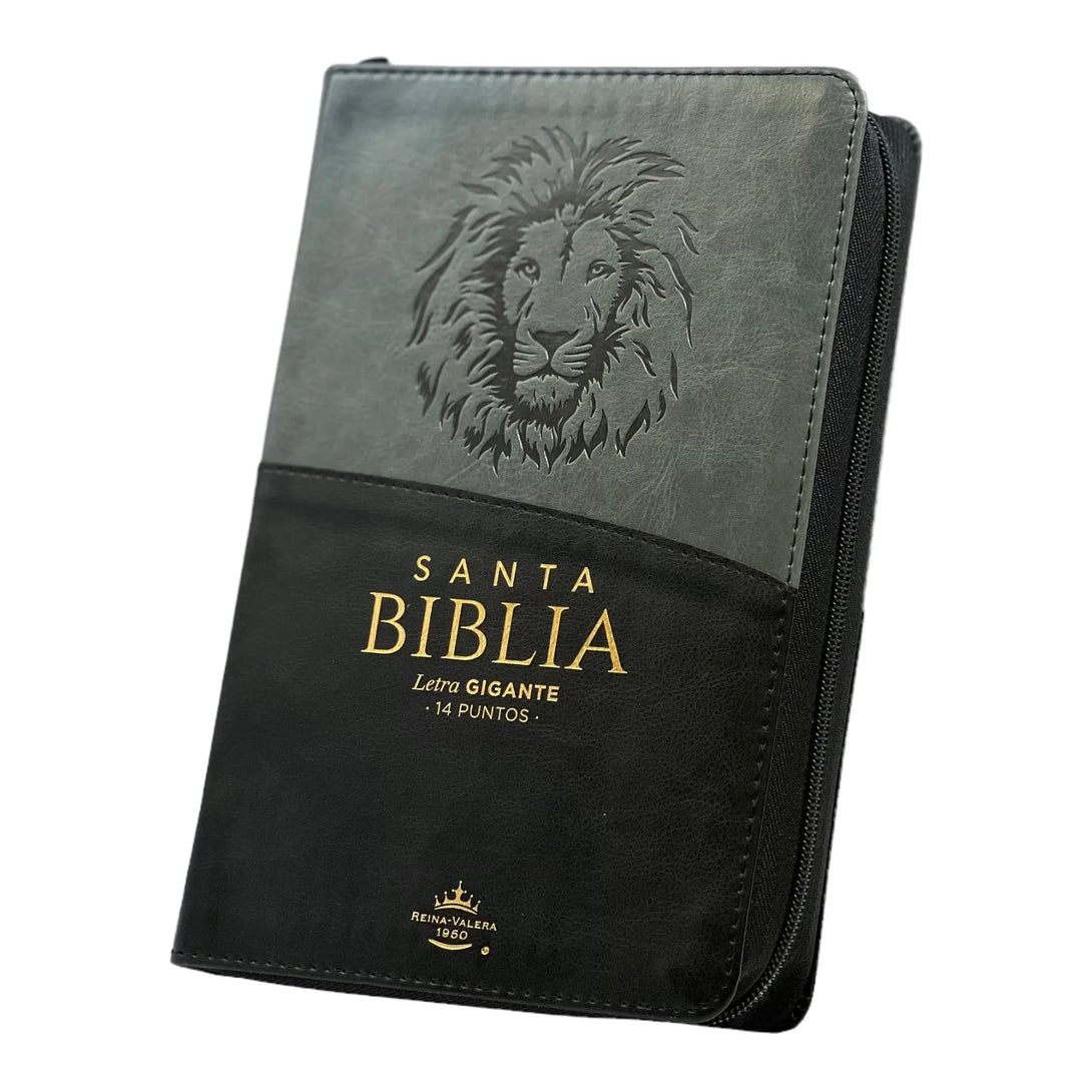 Biblia Reina Valera 1960. Tamaño manual Letra Gigante 14