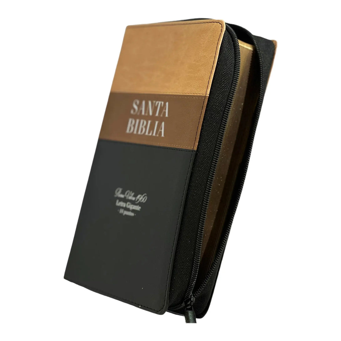 Biblia Reina Valera 1960. Tamaño manual Letra Gigante 14