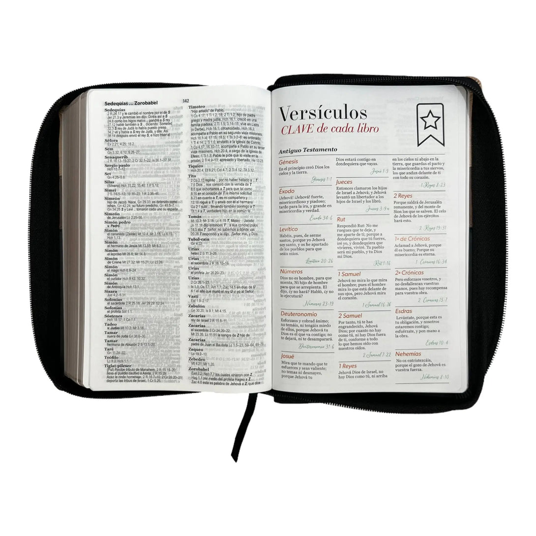 Biblia Reina Valera 1960. Tamaño manual Letra Gigante 14