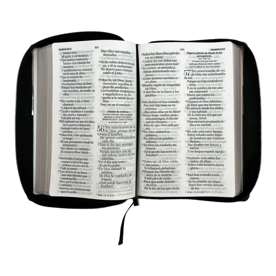 Biblia Reina Valera 1960. Tamaño manual Letra Gigante 14