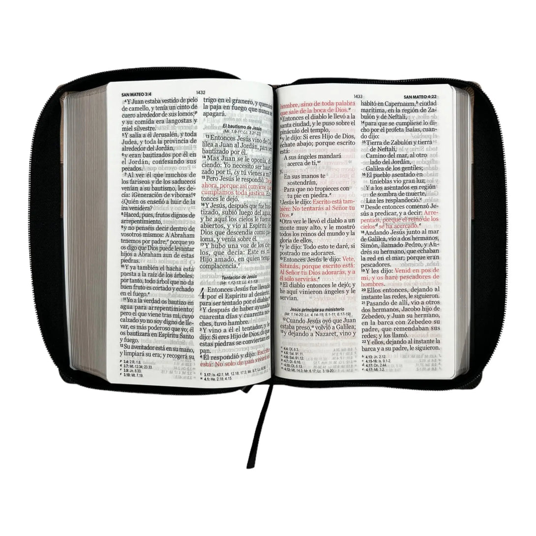 Biblia Reina Valera 1960. Tamaño manual Letra Gigante 14