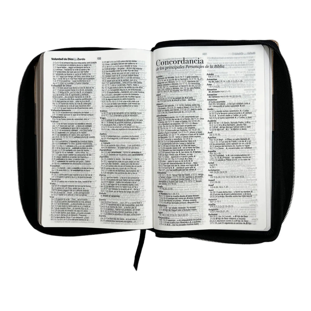 Biblia Reina Valera 1960. Tamaño manual Letra Gigante 14