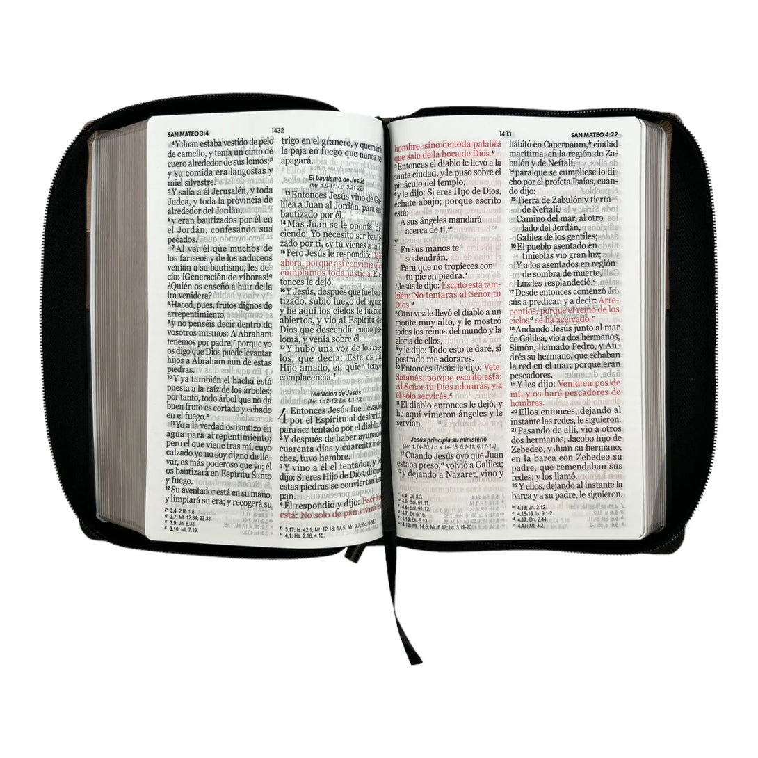 Biblia Reina Valera 1960. Tamaño manual Letra Gigante 14