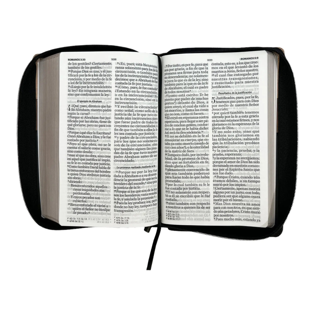 Biblia Reina Valera 1960. Tamaño manual Letra Gigante 14