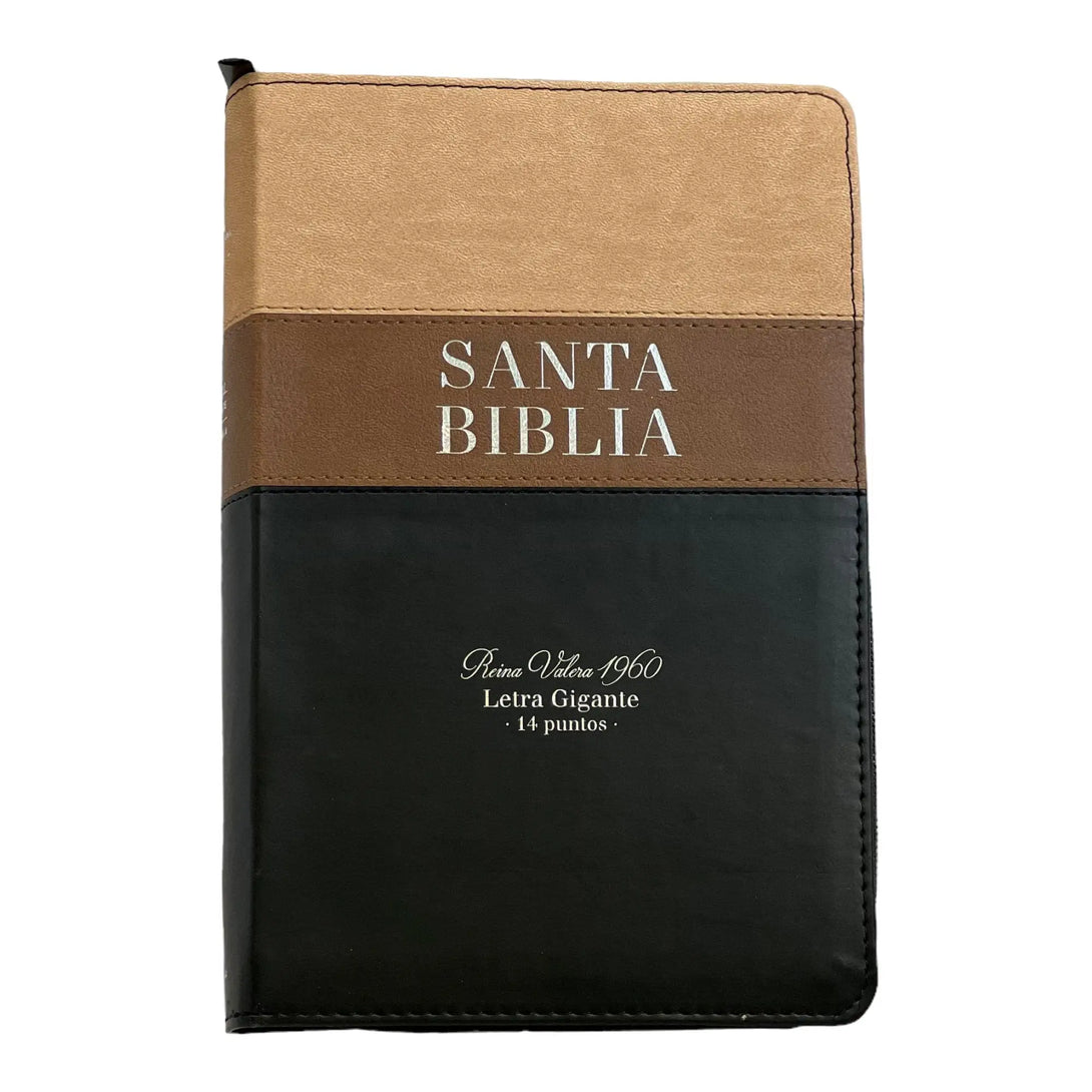 Biblia Reina Valera 1960. Tamaño manual Letra Gigante 14