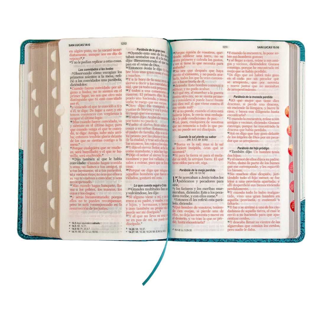 Biblia Reina Valera 1960 tamaño manual letra grande 12