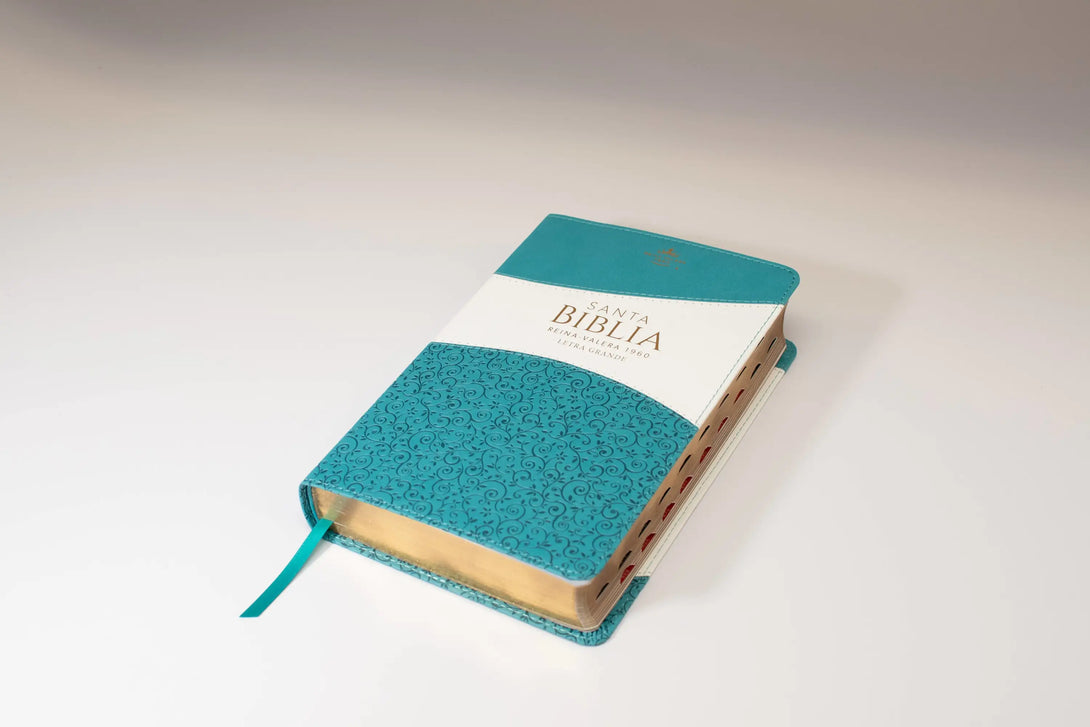 Biblia Reina Valera 1960 tamaño manual letra grande 12
